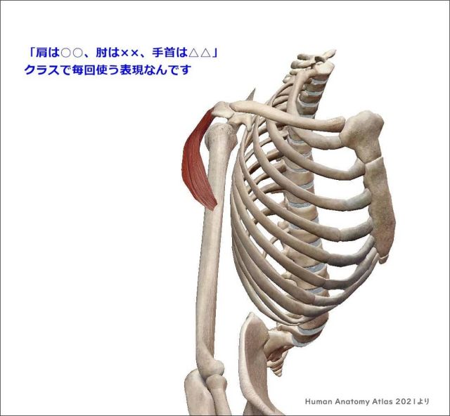 【HP更新しました】
https://sukhaiyoga.com/2642/
大層久しぶりにコラムを書きました。
.
ダウンドッグが
ランの腕降りが
うまくすると世界を変えるかも⁉️
変態扱い覚悟で言ってます(笑)。
.
そんな大袈裟じゃなくても
これから寒くなると
ますます肩こりさん増えますからね。
.
今はスタジオクラスお休み中につき
具体的なレクチャーはLINEにて😊
.
.
#いつも心に青空を 
#happyは免疫力を強くする 
#line登録お願いします
