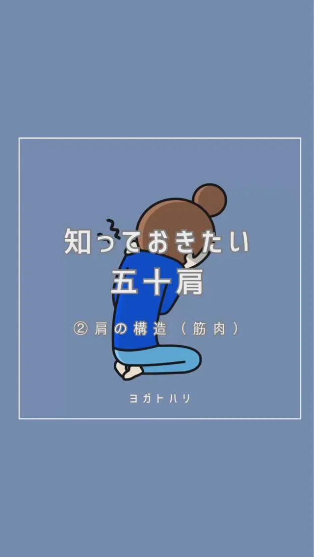 ☻︎
こんにちは、ヨガトハリです
　
肩シリーズ2回目です
骨に筋肉に、多すぎるキャストを端的に説明しようと
考えすぎて投稿が遅れています←え
　
　
いくつでなっても「いわゆる五十肩」 
"肩関節周囲炎"の通称です
炎症性のズキズキがあるのに
夜も眠れないほど痛いのに
画像所見は何もないのが特徴です
　
いつか治るでしょと放置したら
痛みが引いたけど腕が上がらない
それでは治ったうちに入りませんよね
元どおりの動きでQOLまで回復させるために
今回は筋肉を覗いてみました
　
同じ肩こりといえども
症状が人それぞれなのは
それだけたくさんの筋肉があるから
腕を外から回し上げる（外転）だけでも
①上腕骨を挙げ始める〈初動〜30°〉
②上腕骨が肩の高さを超える〈30°〜120°〉
③上腕骨が耳の横まで挙がる〈120°〜180°〉
それぞれの段階で主役が変わるほど
さまざま筋肉が関わり合って動きをつくります
（コッドマンリズムは最近諸説あるらしいけれど）
　
『痛みは原因でなく結果である』
ヨガトハリでは耳タコな表現です
痛みが起きている場所は
悪者でなくむしろ被害者で
周囲に容疑者はぞろぞろいるけれど
主犯格は思いも寄らない遠くにいたり
巨大な詐欺グループの話ですか笑
　
と、冗談はさておき
表面で意識しやすいアウターマッスルは
パワーはあれど持久力が足りません
インナーマッスルが意識できるようになると
アウターの負担軽減になります
痛みや疲労の出やすいアウターにより
強化すべきインナーは異なります
だから筋肉の配置を知ることは
全体の調和への近道で
動きの快適へのよい道しるべになります
　
痛みや動かしにくさを感じた時に
「私痛いのでは◯◯筋！」と
地図を調べるのはよいことですが
むやみに断定することなく
どうぞ専門家を頼ってください
どこが痛い？
どんな動きが痛い？
どんな時に痛む？
日により時により違う痛みを紐解きつつ
しっかり動くところまで
ヨガトハリがお連れします
今痛みのある◯◯筋は
「通行人B」くらいのキャストだった！なんて
笑えるくらいの快適に出会えますように
　
　
ご予約・ご相談は
⁂直接言う 
⁂LINE公式アカウント 
⁂インスタDM 
⁂HPお問い合わせフォーム 
いずれからでもお待ちしています
　
　
#五十肩 #鍼灸治療 #逗子鍼灸 #アスリートと鍼灸 #アスリートとヨガ #日々のパフォーマンス向上 #鍼からのヨガ #ヨガトハリ