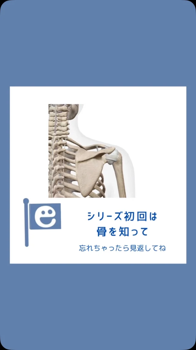 ☻︎
こんにちは、ヨガトハリです
　
肩シリーズ3回目です
1回目で肩関節の骨を
2回目で肩にかかわる筋肉の総論を
3回目はようやく治療したい筋のことを
遠回りし過ぎるとブレるのでそろそろ本題です笑
　
　
いくつでなっても「いわゆる五十肩」 
"肩関節周囲炎"の通称です
炎症性のズキズキがあるのに
夜も眠れないほど痛いのに
画像所見は何もないのが特徴です
　
五十肩で治療必須なのは
"ローテーターカフ（回旋筋腱板）"
関西お笑い芸人でなくとも
一度は「なんでやねん！」と
裏拳ツッコミをしたことはあるはず←え
　
冗談はさておき
ローテーターカフは"腕を肩から捻る"筋肉で
構成は以下の4筋↓
①棘上筋:腕の外転初動30°まで
②棘上筋:腕の外転・水平外転と外旋
③小円筋:腕の水平外転と外旋
④肩甲下筋:腕の内旋と肩関節の安定
お住まいは肩甲骨、べったり張り付いています
　
いやいや、痛いのはもっと首寄りなんだけど！
というお気持ちはわかりますが
ローテーターカフがうまく働かないと
𖧷服を着替える
𖧷後ろで髪を束ねる
𖧷リュックを背負う
𖧷エプロンのリボンを結ぶ（≒下着の着脱）
といった動作で痛みが出ます
それでも頑張って他の筋で動いて（代償動作）
他の筋から痛みが出ているというカラクリです
　
特に棘上筋は
上腕骨を挙げ始める 〈初動~30°〉という
地味ながら超重要なはたらきに加えて
肩に腕を引き寄せておく、という任務もあって
そのくせ超小さい筋だから
五十肩でなくても大事な治療ポイント
腕の挙げにくさから首がすくんで肩が凝る、という方
実はめっちゃ多いんです
原因は元から断たないと、です
　
筋肉を細かく覚える必要はないですが
（疲れて肩凝ります）
何となくメカニズムがわかると
治療後にも予防にも
どんな風に肩を動かすのがいいか
わかりやすいと思います
ヨガのダウンドッグも肩の外旋が重要ですしね
　
　
ということで
次回は治療後のリハビリについて
やってるつもりにならない動かし方を
一緒に学んでいけたらと思います
どうぞお楽しみに
　
次回を待てずに
早速肩の治療を受けたいよ！という方は
ご連絡ウェルカムです
　
ご予約・ご相談は 
⁂直接言う
⁂LINE公式アカウント
⁂インスタDM 
⁂HPお問い合わせフォーム
いずれからでもお待ちしています 
　
　
#五十肩 #鍼灸治療 #逗子鍼灸 #アスリートと鍼灸 #アスリートとヨガ #日々のパフォーマンス向上 #鍼からのヨガ #ヨガトハリ