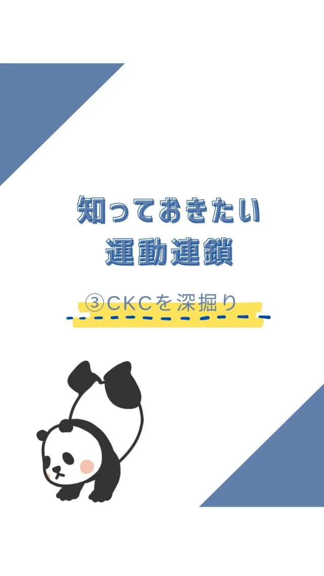 ☻︎
こんにちは、ヨガトハリです。
　
【運動連鎖シリーズ episode3】
-CKCを深掘る一
身体がバラバラに動いていませんか？
一つの関節の動きは他の関節とつながっています。
それが世に言う【運動連鎖】。
ヨガトハリでは
『なめらかな動作をケガなく行うことが叶うつながり』
なんて直訳しています。
　
連鎖を考える上で大事な大分類の1つ、
解放運動連鎖（OKC）を掘った前回。
今回のリールではその相方、
閉鎖運動連鎖（CKC）についてまとめました。
　
　
前回も言いましたが、人間の身体は3Dです。
1つ関節を曲げようとしただけで
勝手に捻りが入ったり、他の関節も動いたり。
チームスポーツで言うところのフォーメーションを
自分ひとりで、自然に調節しています。
意図していないだけに、
連鎖のエラーが起きていることすら
気づかないことがほとんどです。
　
前回ご紹介したOKCが個の能力UPなら、
CKCはチーム力の強化です。
それぞれが勝手にバラバラに動くなら
強化した筋は扱いにくい'クセ強'でしかなく、
お互いが喧嘩しオーバーワークになりかねません。
　
頑張らせるところ、休ませるところを把握し
無理なく無駄なく使うには
無意識ながらスムーズに使うには
ちょっとした意識の落とし込みが必要です。
無意識に使えるようになるまでは
意識がやはり大切なのだと思います。
　
　
CKCがうまくいかない時は
意識のポイントや使う順番を見直したいものです。
ヨガトハリでは
鍼や徒手なら筋や関節に触れながら
ヨガなら動きを見ながら
あなたの身体に合った対策をお伝えしています。
気になる方はどうぞお声かけくださいね。
　
シリーズ次回はOKCとCKCの合わせ方について。
どうぞお楽しみに。
　

ヨガトハリは出張施術だけでなく
動きについてのご相談も受け付けています。
ご相談・ご予約は
⁂直接言う
⁂LINE公式アカウント
⁂インスタDM
⁂HPお問い合わせフォーム
いずれからでもお待ちしております。

＃運動連鎖＃OKC #CKC #使い分けが大事